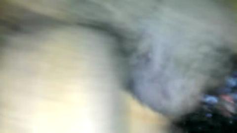 47977