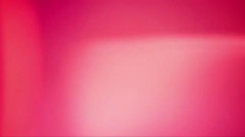 24219