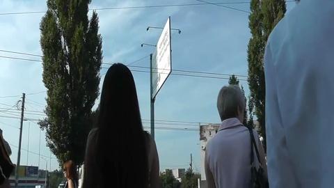 3006