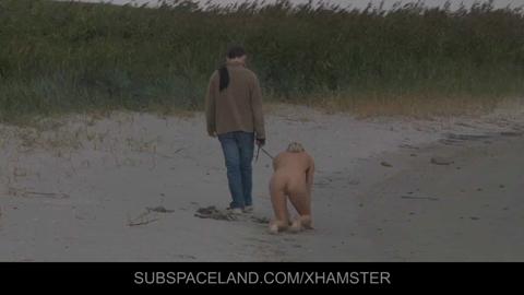 28087