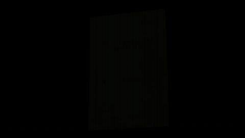 45386